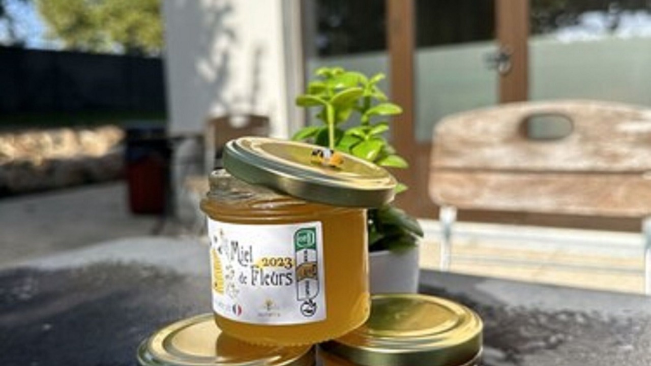 Photo of Others in Vert-Saint-Denis