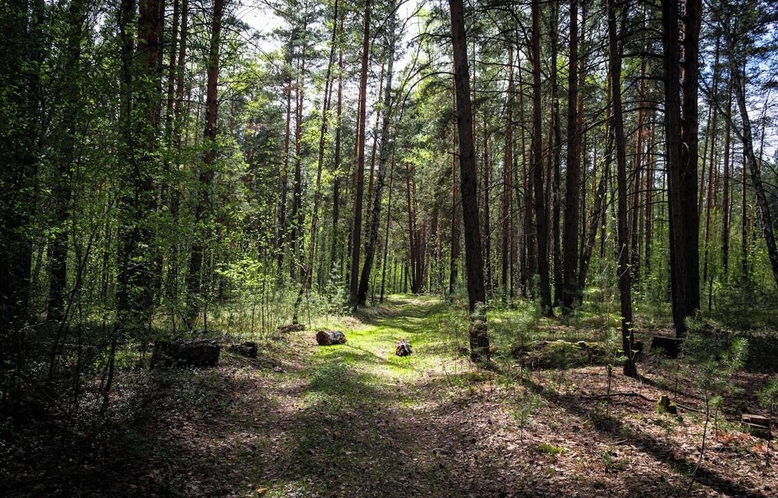 Photo of Others in Gouvieux