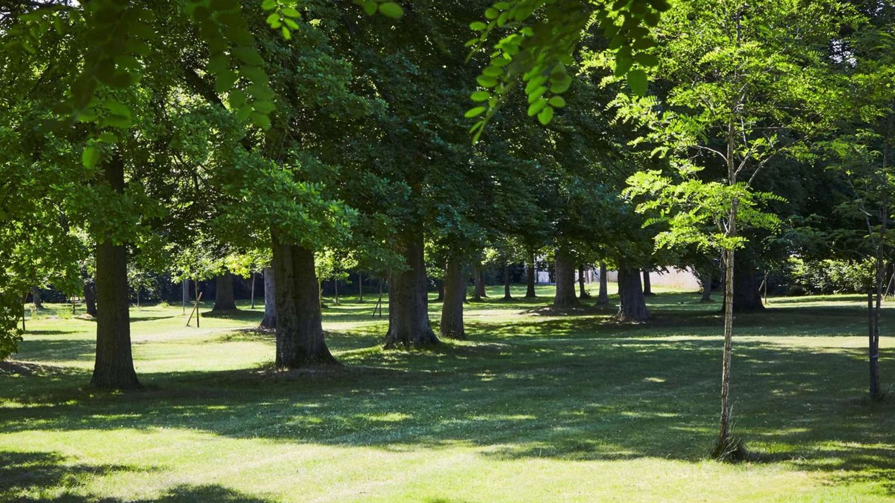 Photo of Outdoor in Royallieu Village