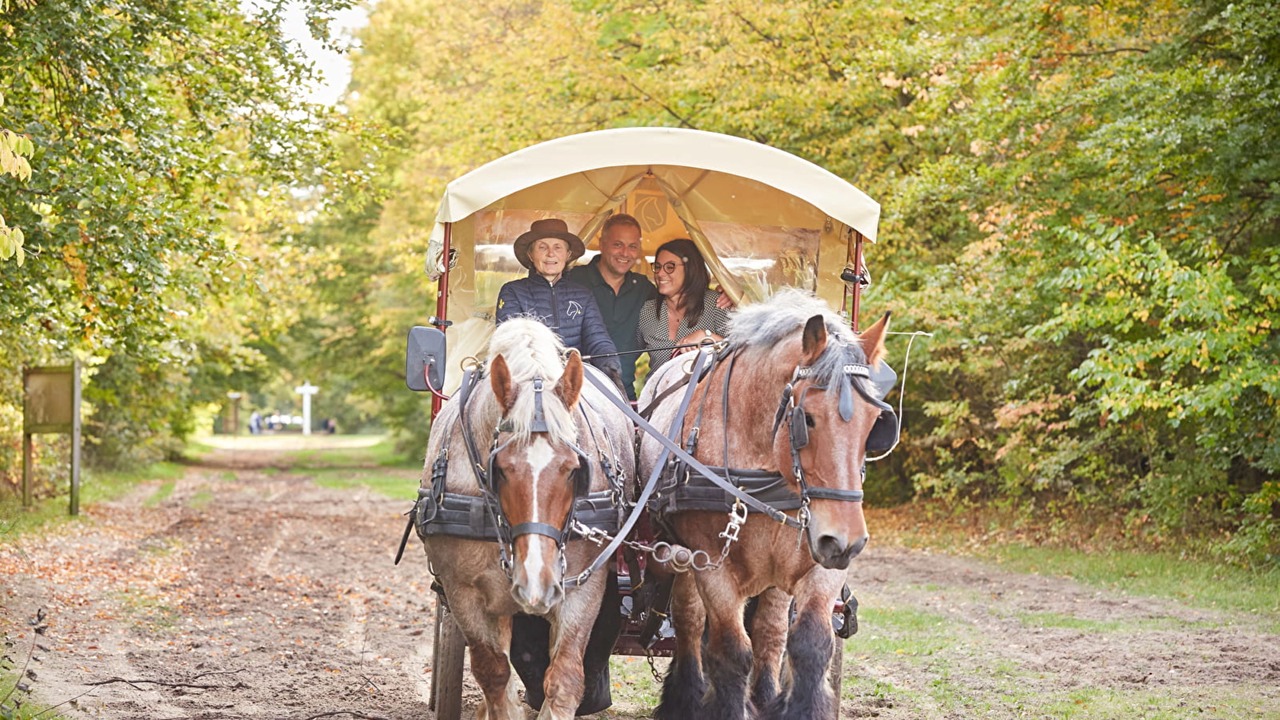 Photo of Outdoor in Royallieu Village