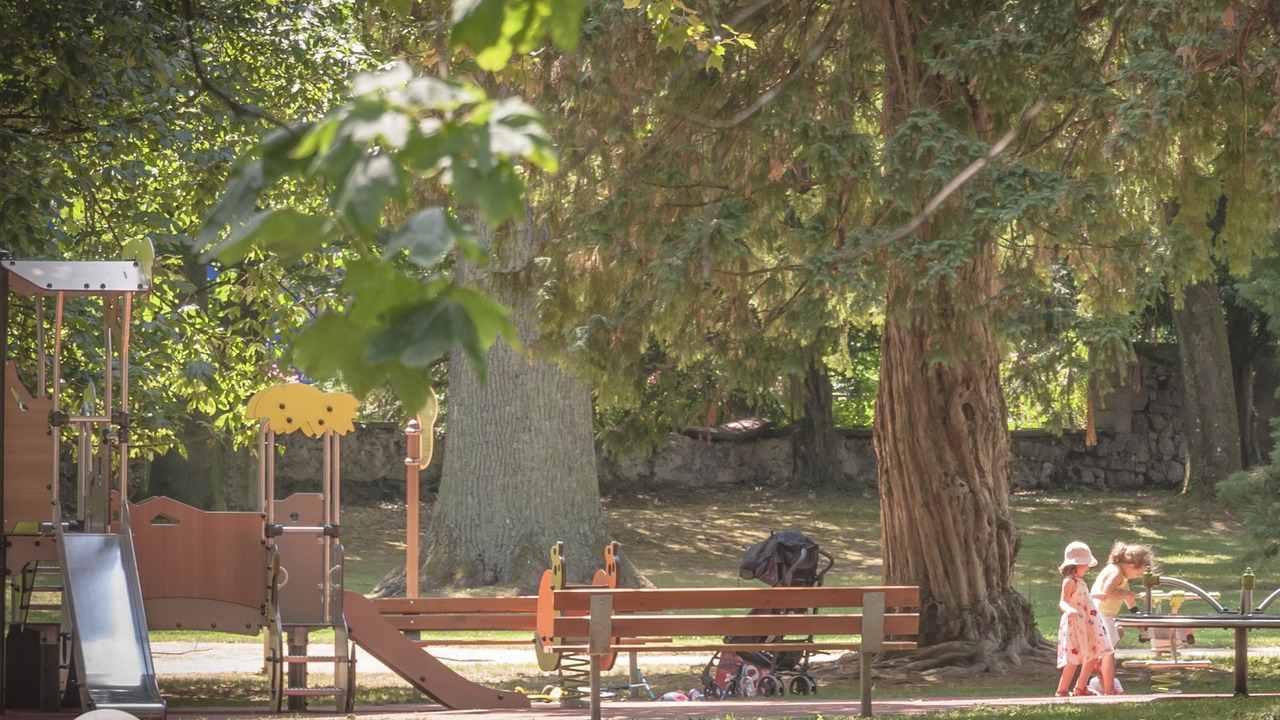 Photo of Others in Munster