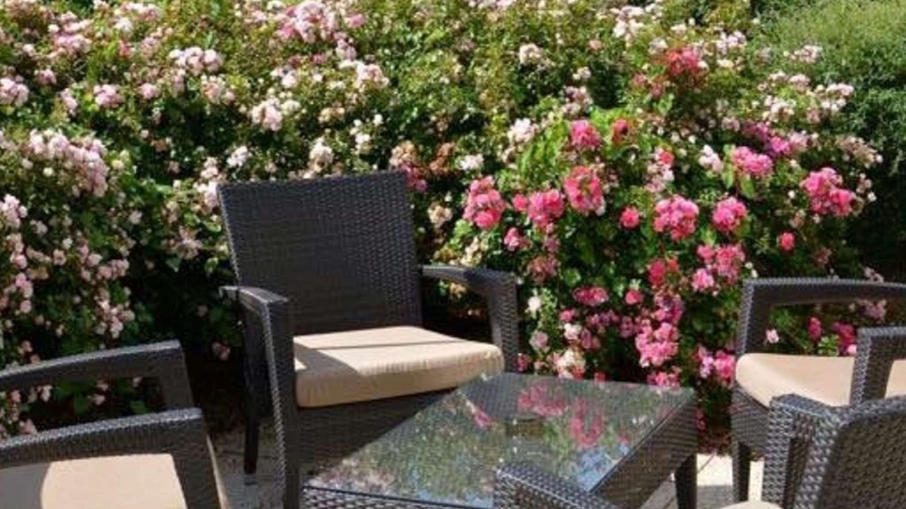 Photo of Outdoor in Bussy-Saint-Georges