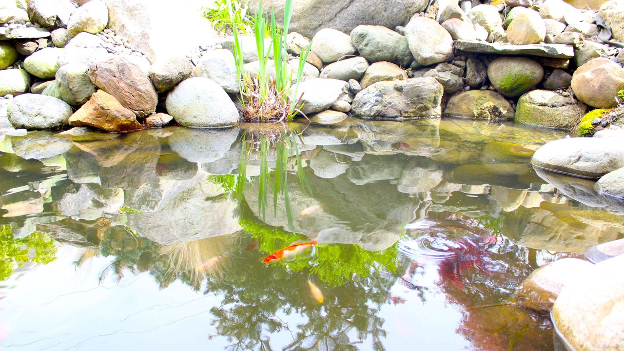 Photo of Others in Fairhaven