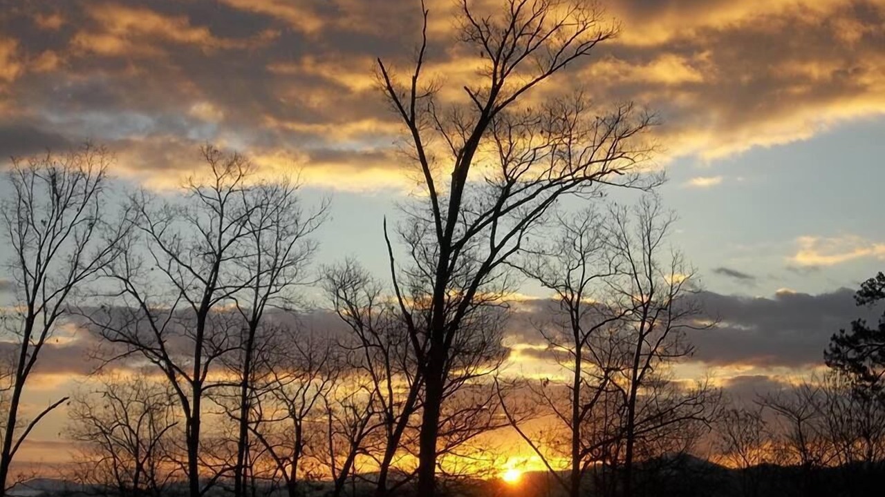 Photo of Others in Blue Ridge