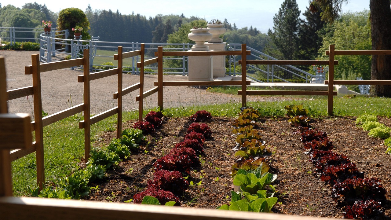 Photo of Outdoor in Cruseilles
