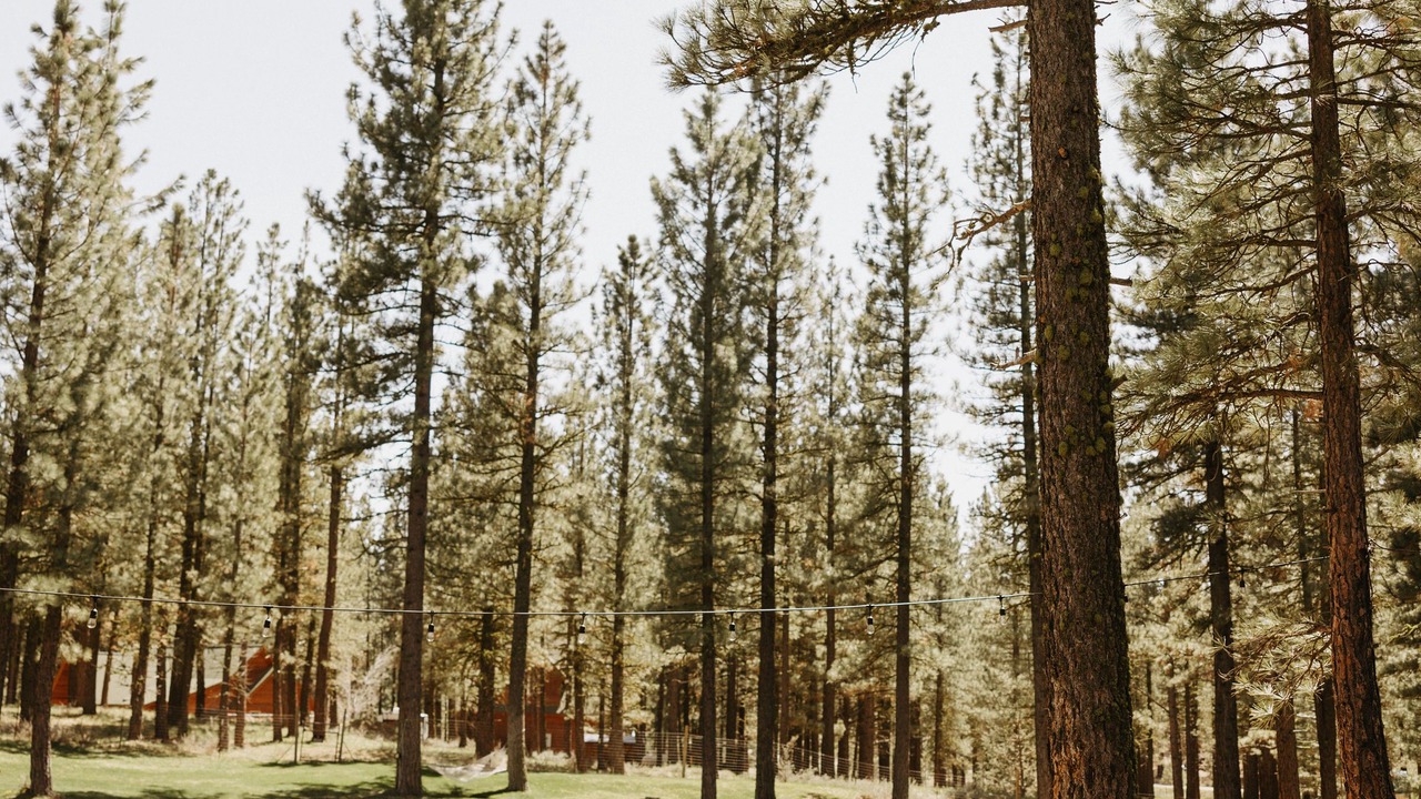 Photo of Outdoor in Portola
