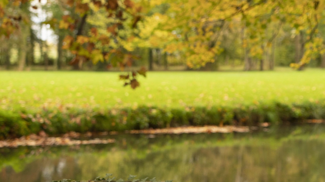 Photo of Outdoor in Saulon-la-Rue