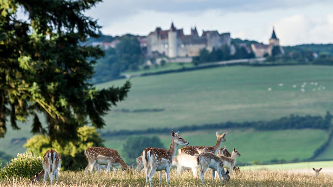 Photo of Outdoor in Sainte-Sabine