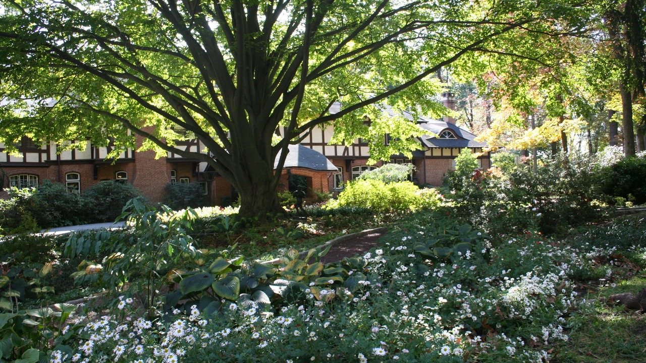 Photo of Outdoor in Stevenson