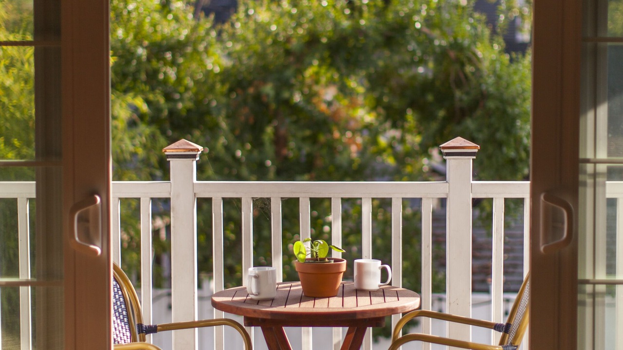 Photo of Others in St. Helena