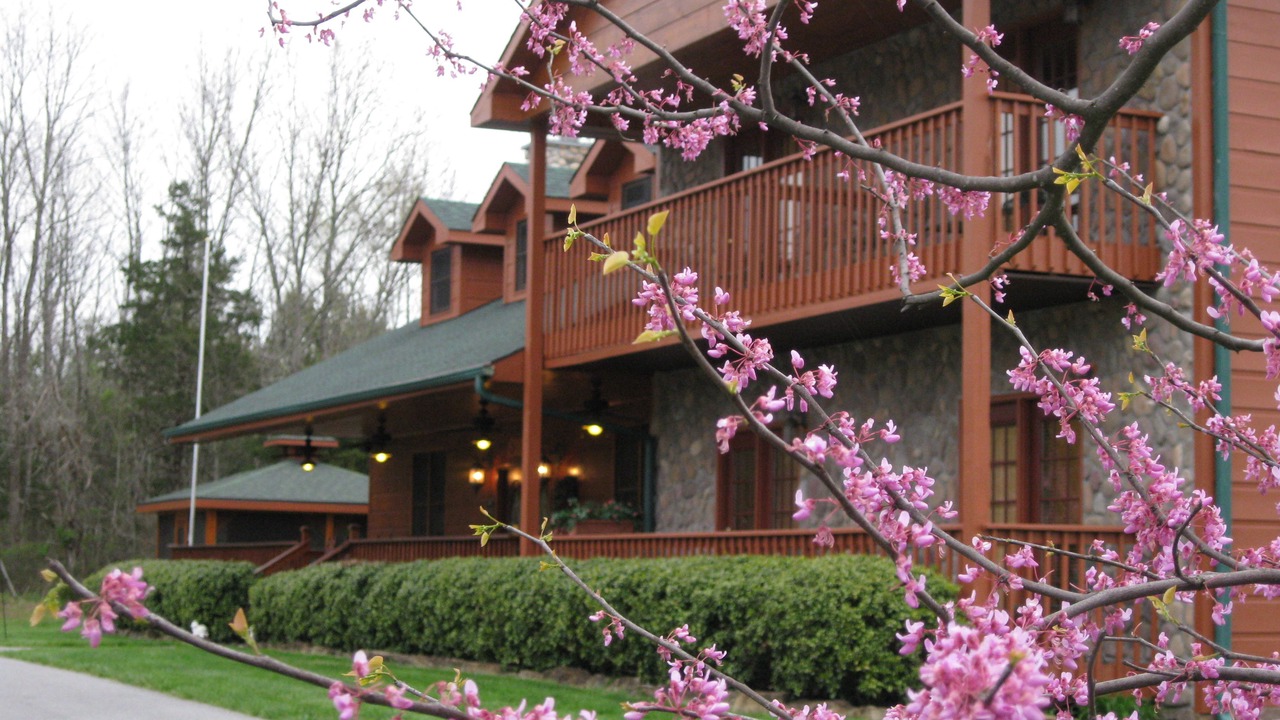 Photo of Outdoor in Sevierville