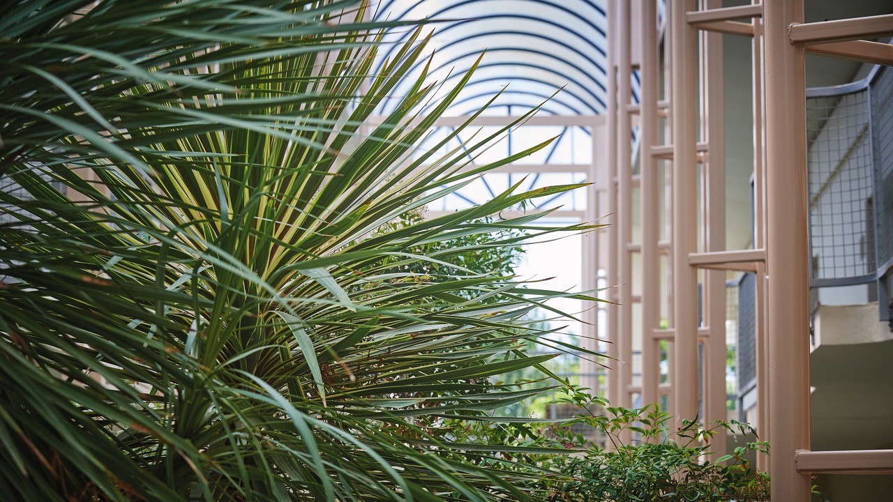 Photo of Others in La Pommeraye