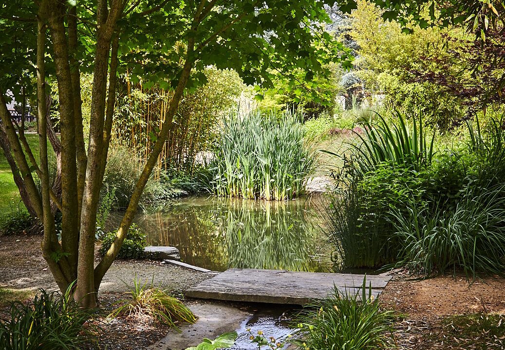 Photo of Outdoor in La Pommeraye