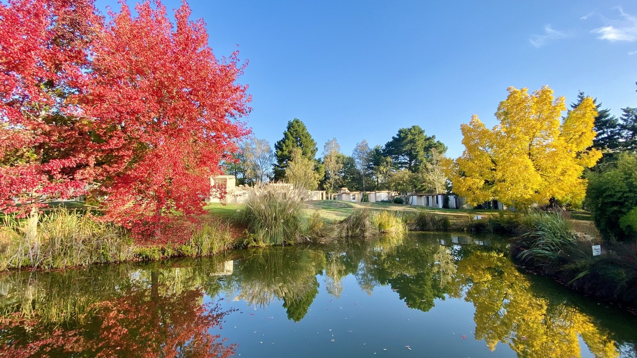 Photo of Outdoor in La Pommeraye