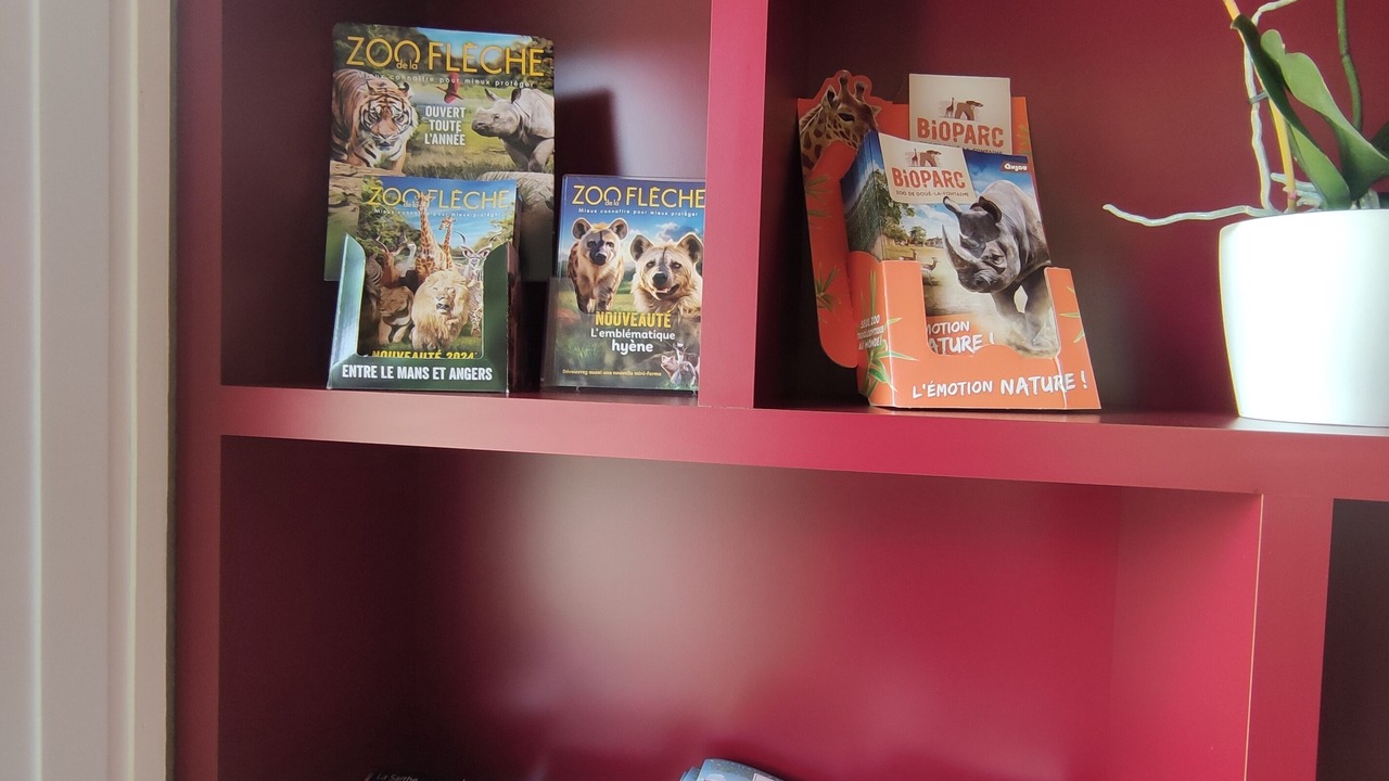 Photo of Others in Vion