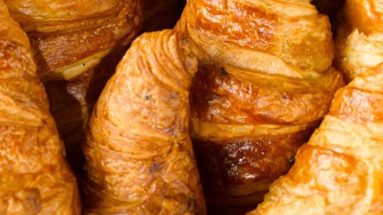 Photo of Others in Saint-Germain-en-Laye