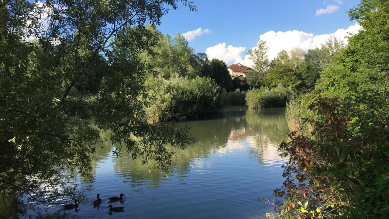 Photo of Outdoor in Meylan