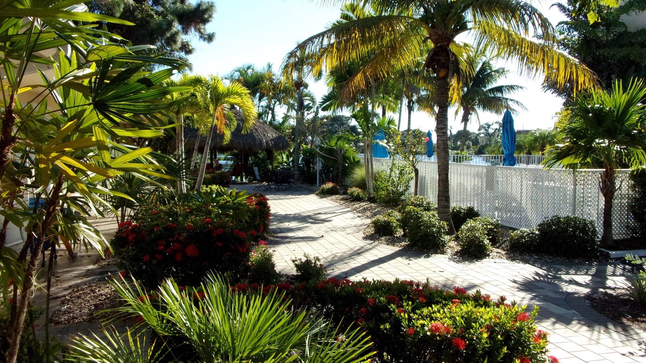 Photo of Outdoor in Marco Island