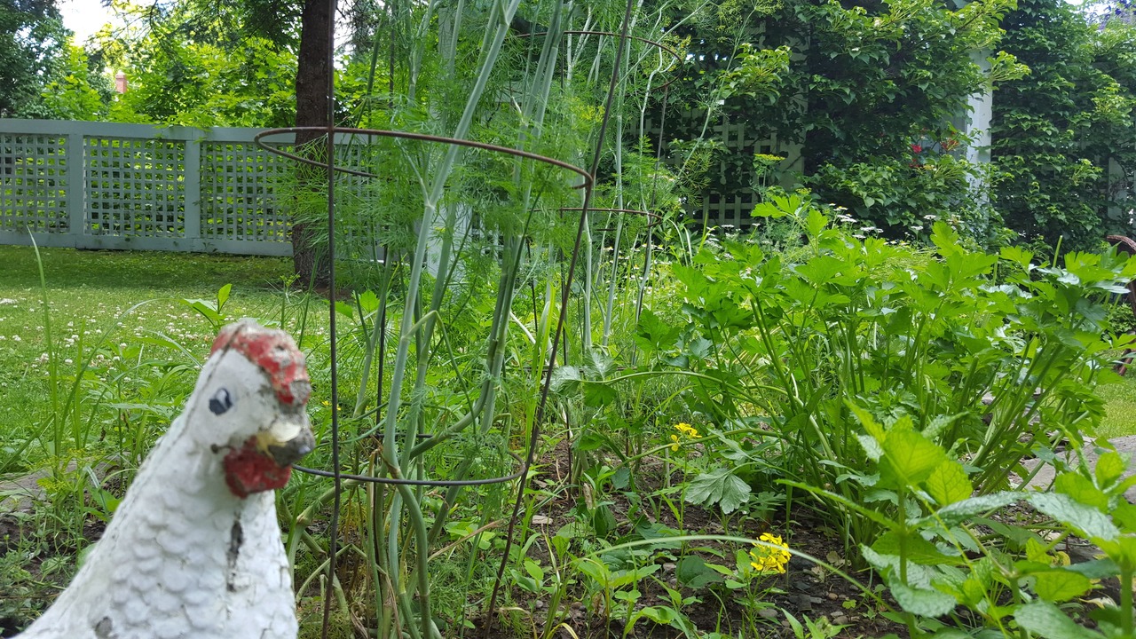 Photo of Outdoor in Cooperstown