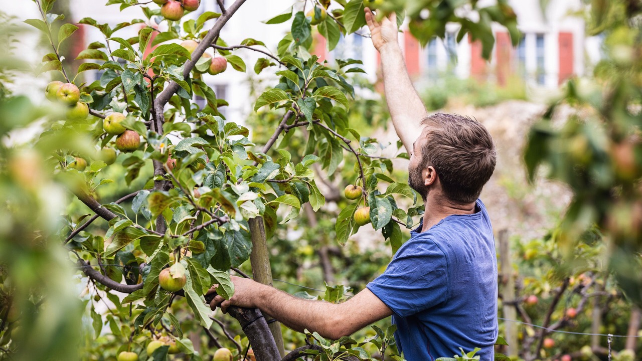 Photo of Outdoor in Basel