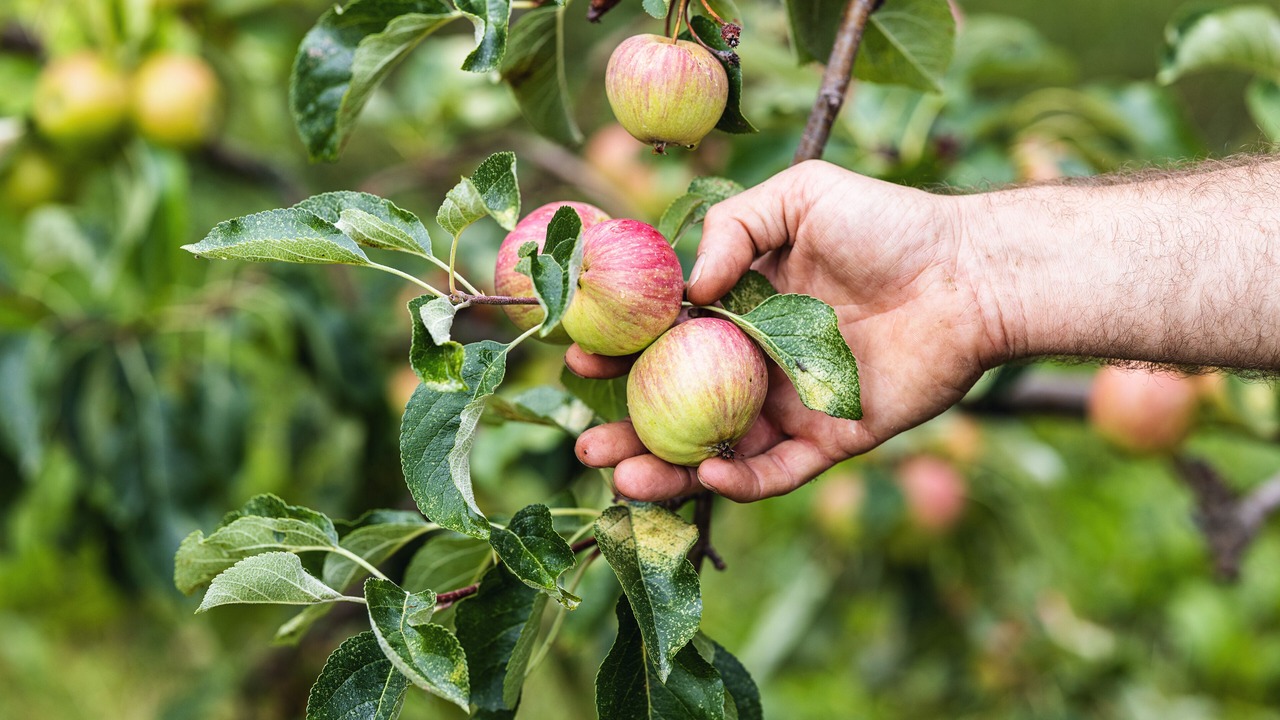Photo of Outdoor in Basel