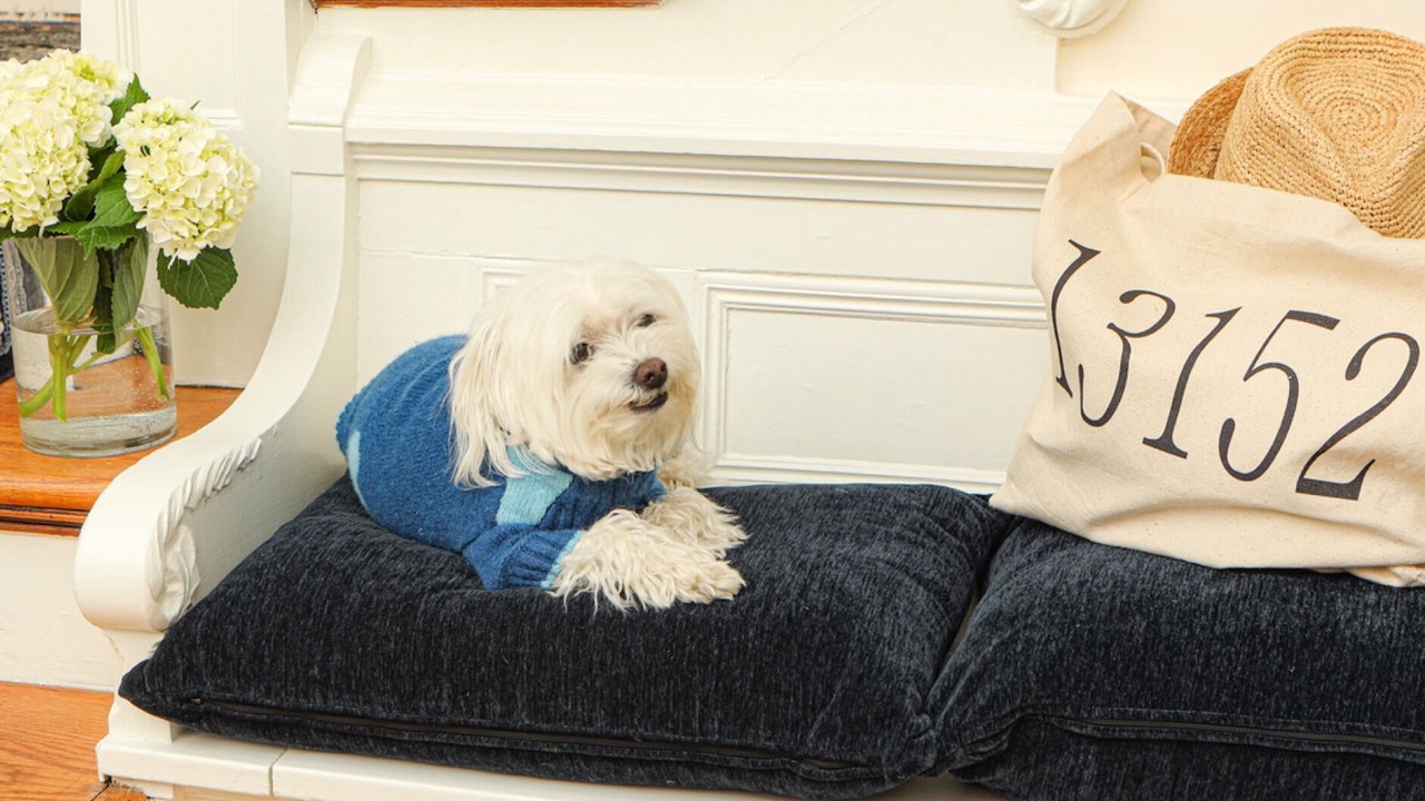 Photo of Others in Skaneateles