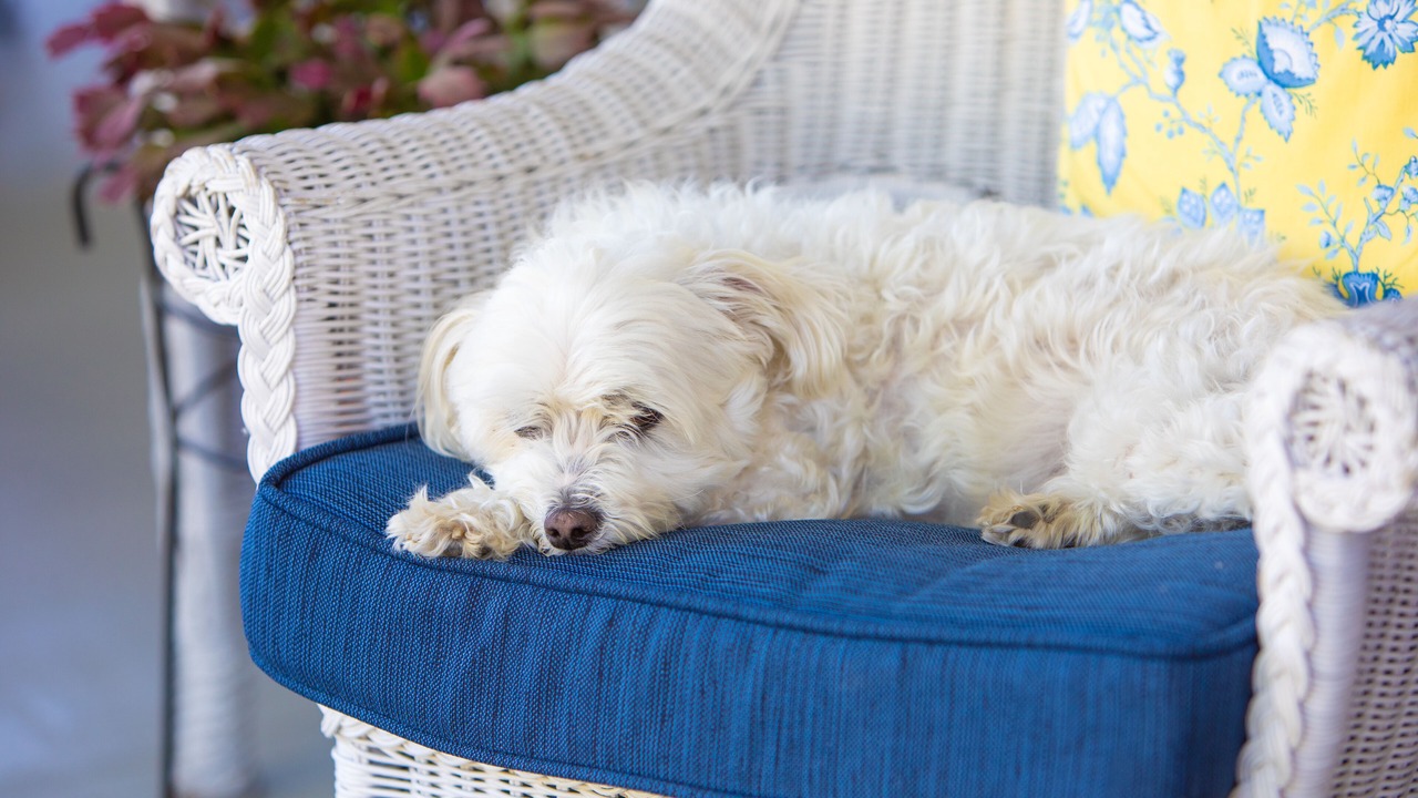 Photo of Patio Balcony in Skaneateles