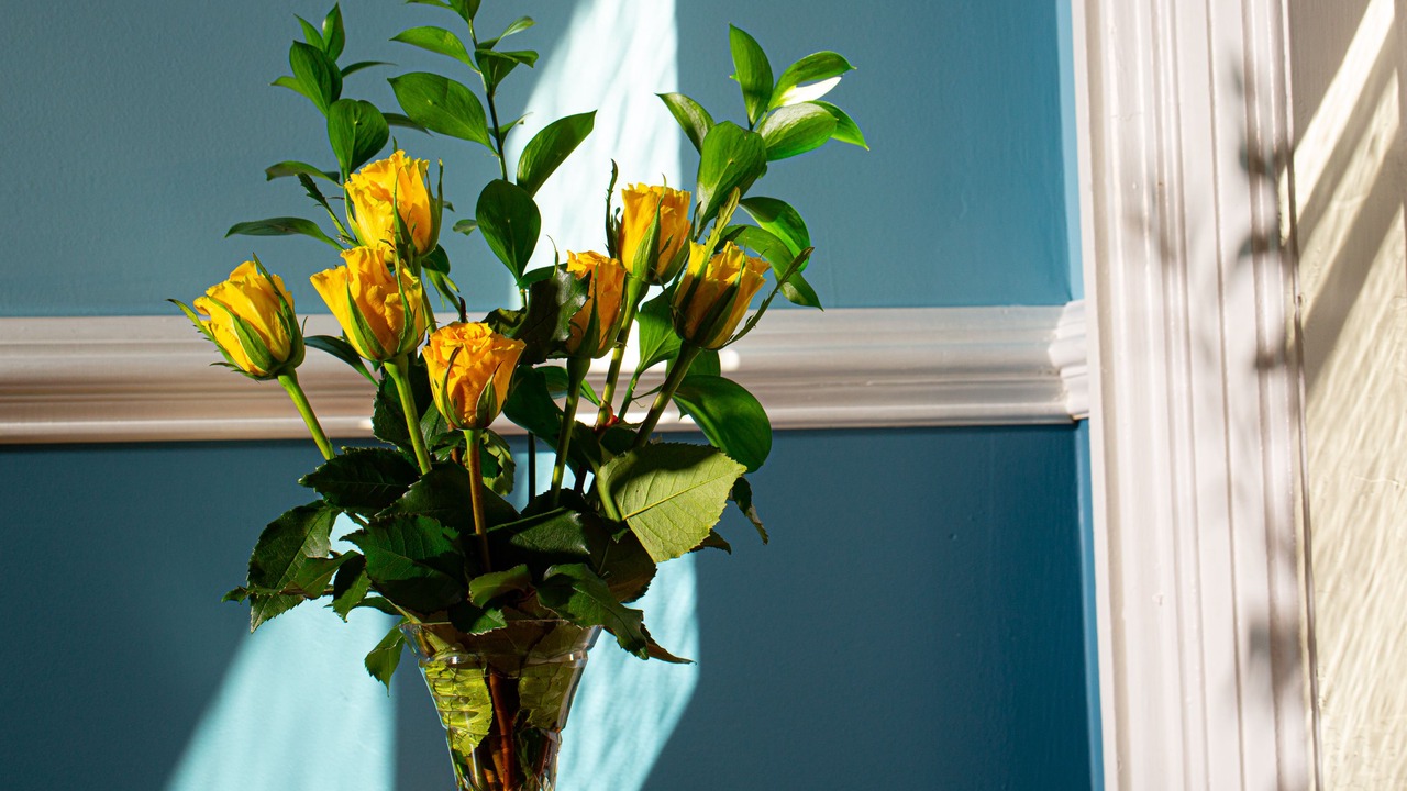 Photo of Others in Utica