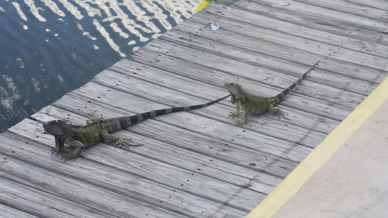 Photo of Others in Marathon