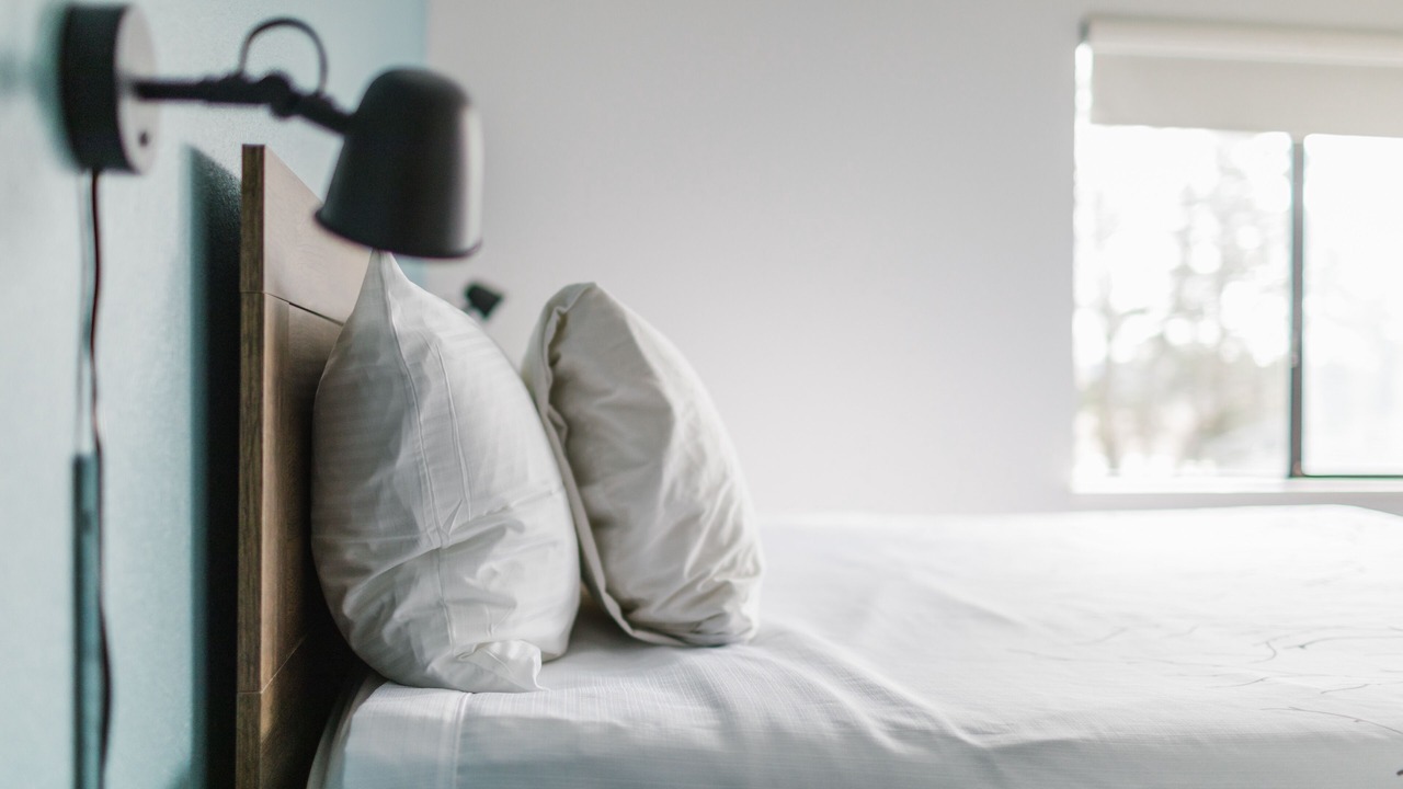 Photo of Others in Friday Harbor