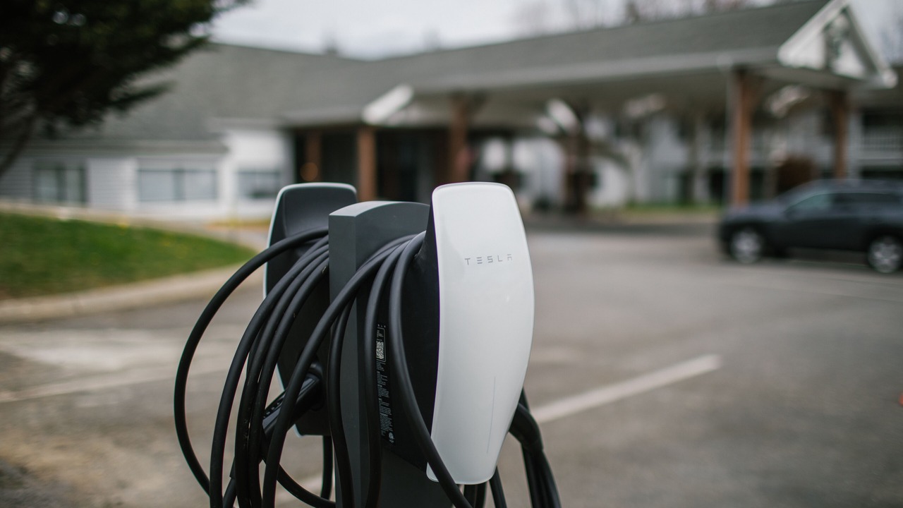 Photo of Others in Friday Harbor