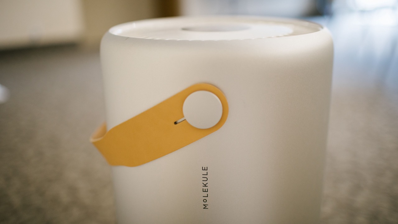 Photo of Others in Friday Harbor