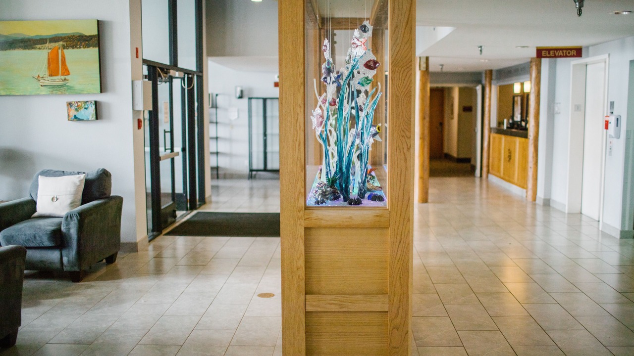 Photo of Others in Friday Harbor