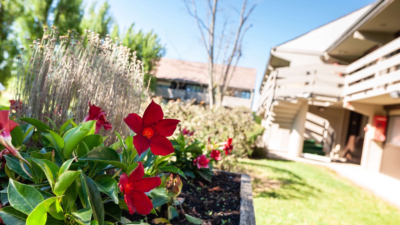 Photo of Outdoor in Beaune