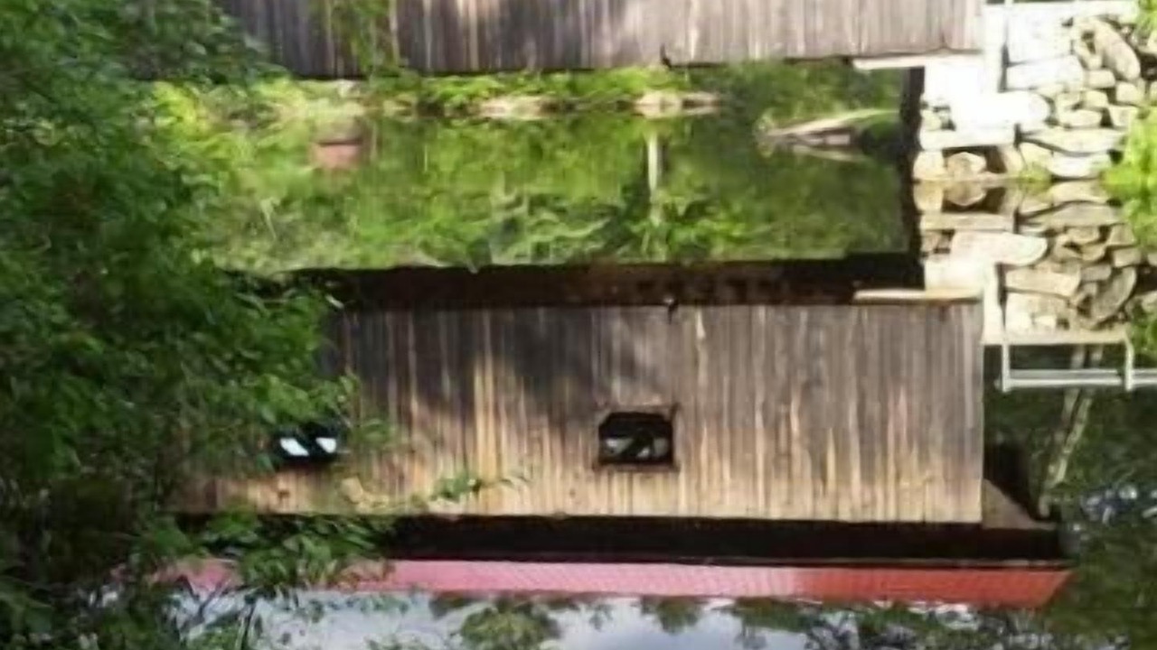 Photo of Outdoor in Warner