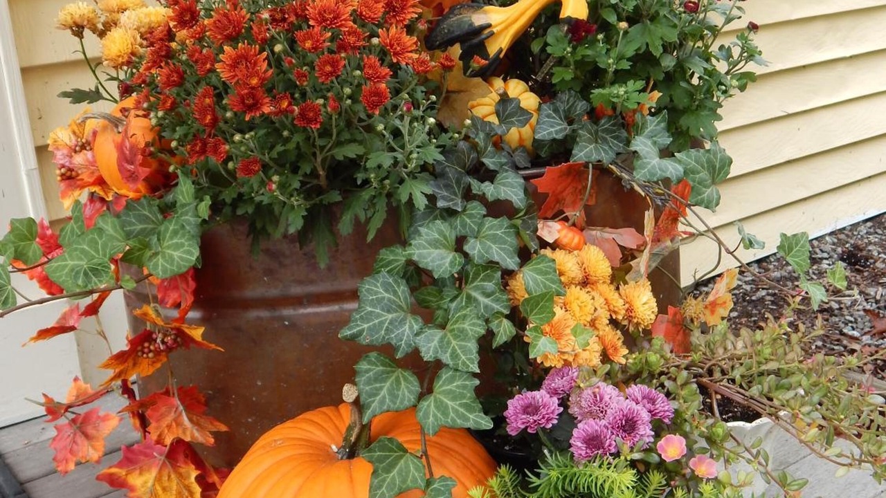 Photo of Outdoor in Warner