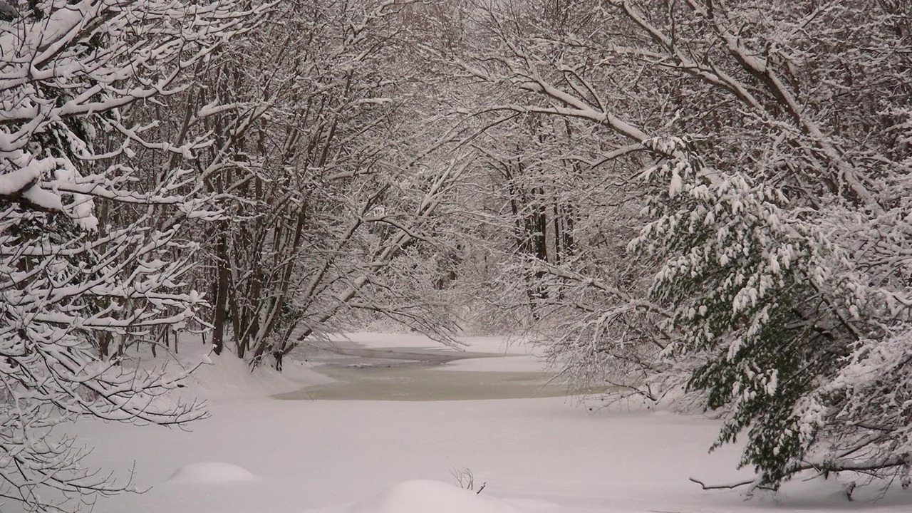 Photo of Others in Warner