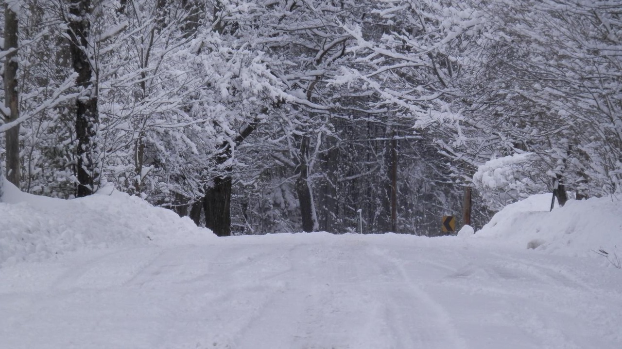 Photo of Others in Warner