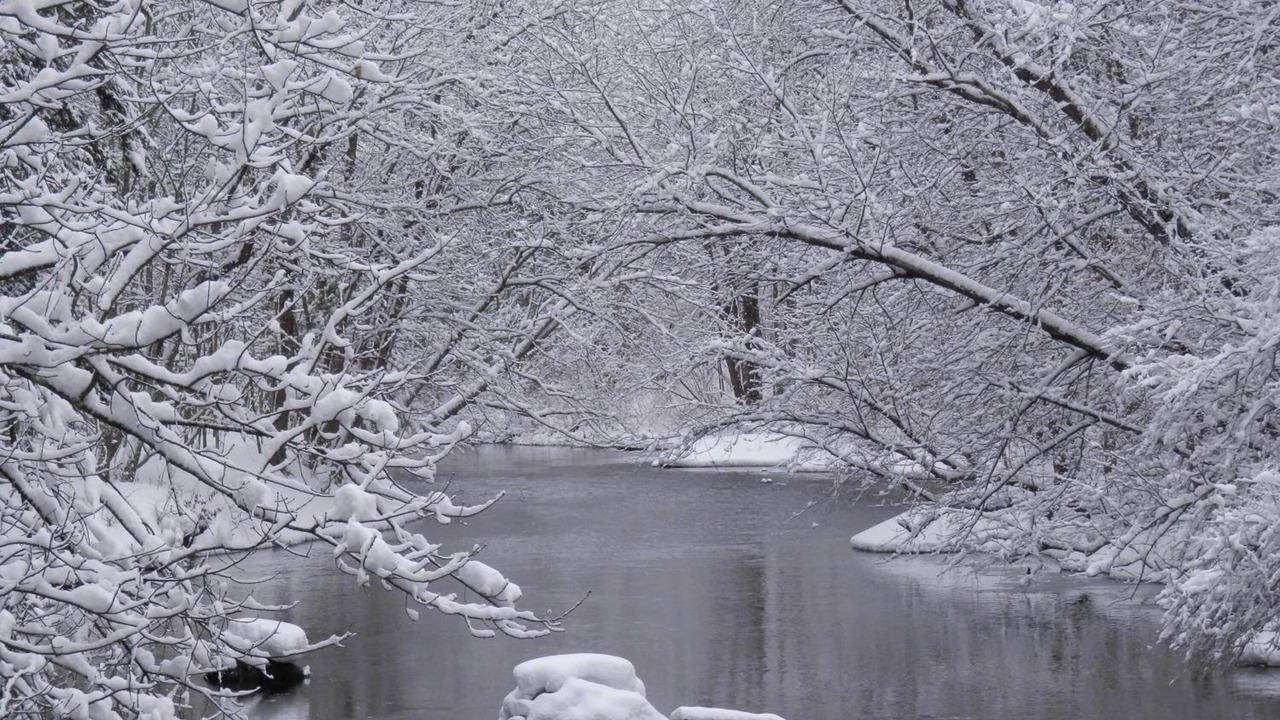 Photo of Others in Warner