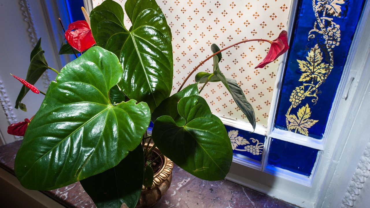 Photo of Others in Newington