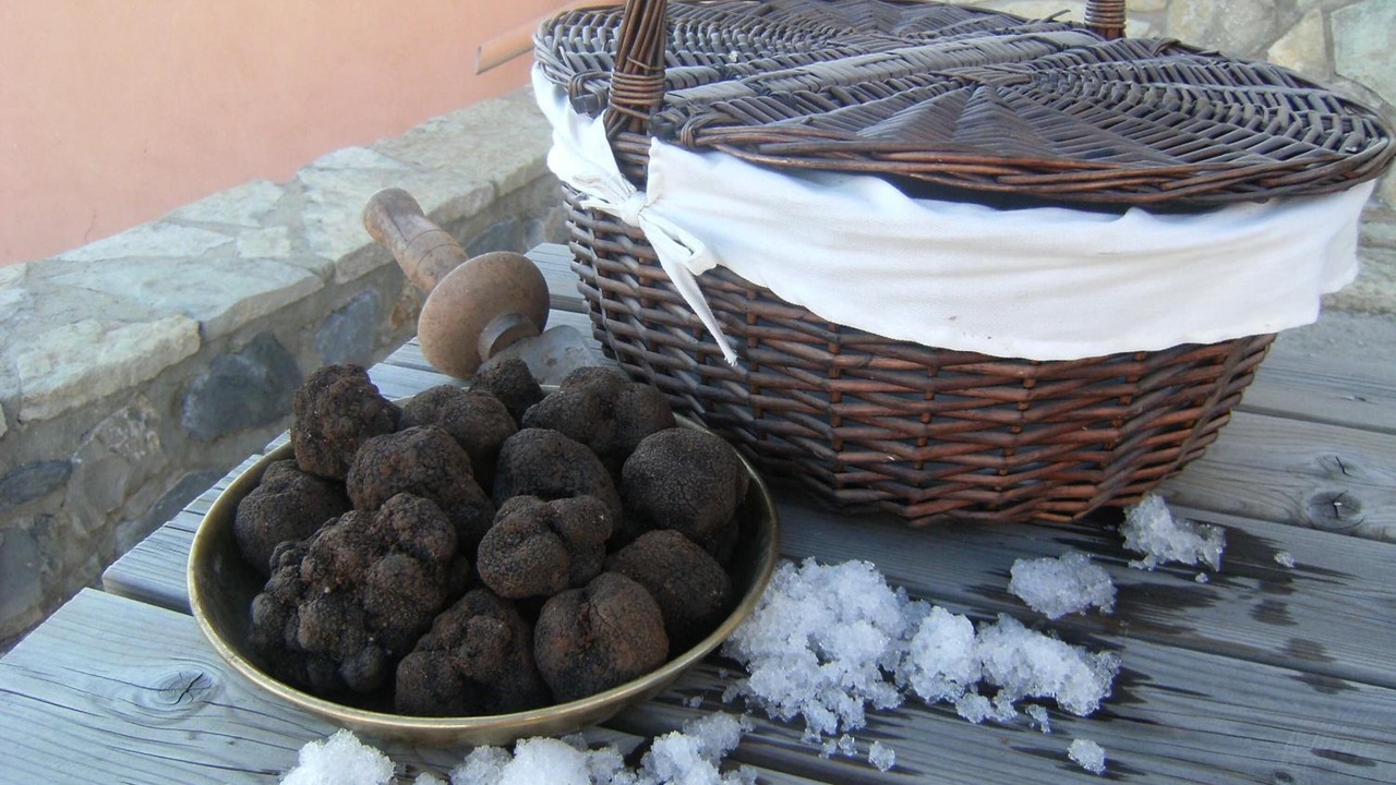 Photo of Others in Mora de Rubielos