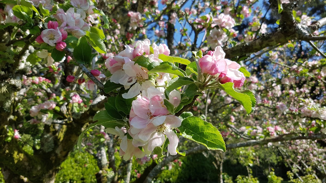 Photo of Others in Liskeard