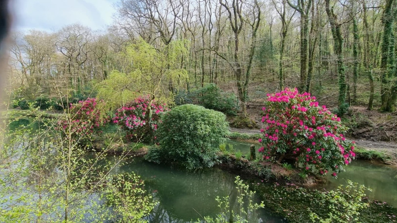 Photo of Outdoor in Liskeard