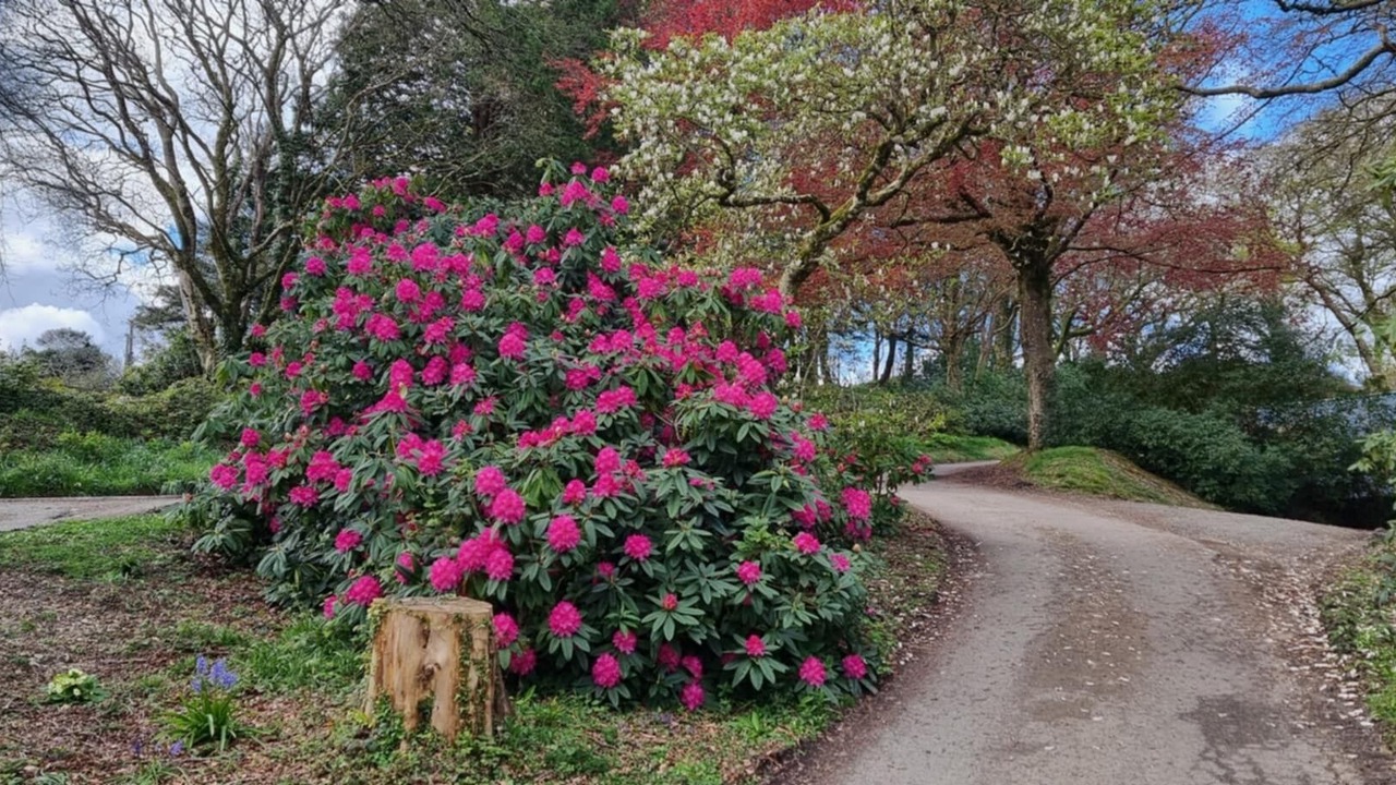 Photo of Outdoor in Liskeard
