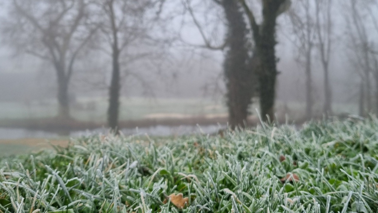 Photo of Others in Albon