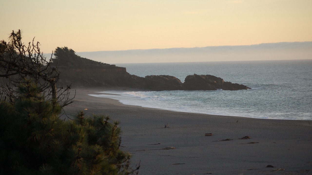 Photo of Others in Gualala