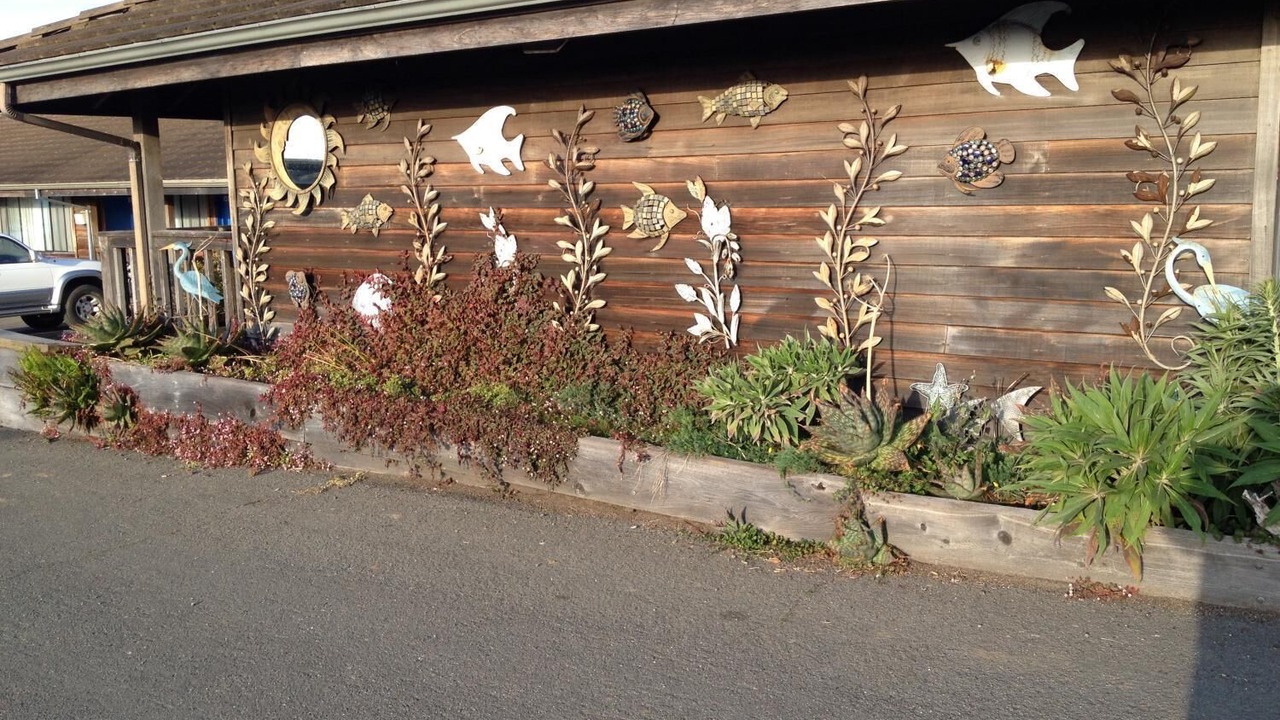 Photo of Outdoor in Gualala