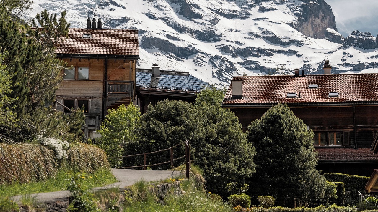 Photo of Others in Wengen