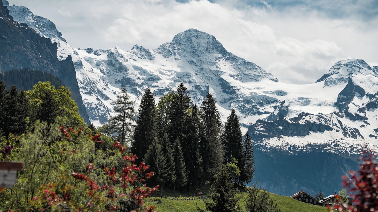 Photo of Others in Wengen