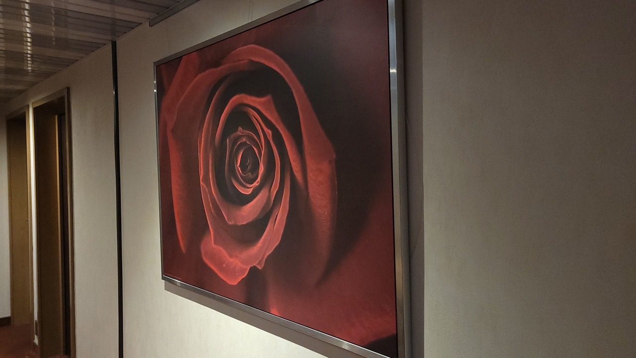 Photo of Others in Roussillon-en-Isere